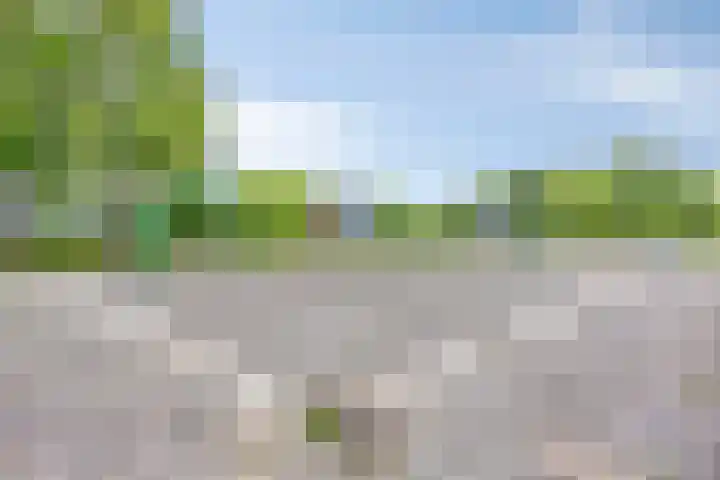 Max Havelaarweg 114 Hoogvliet Rotterdam thumbnail 33