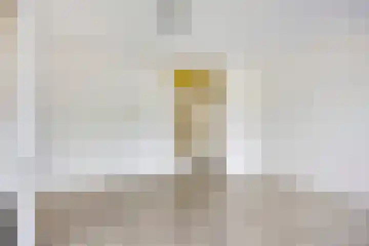 Max Havelaarweg 114 Hoogvliet Rotterdam thumbnail 5