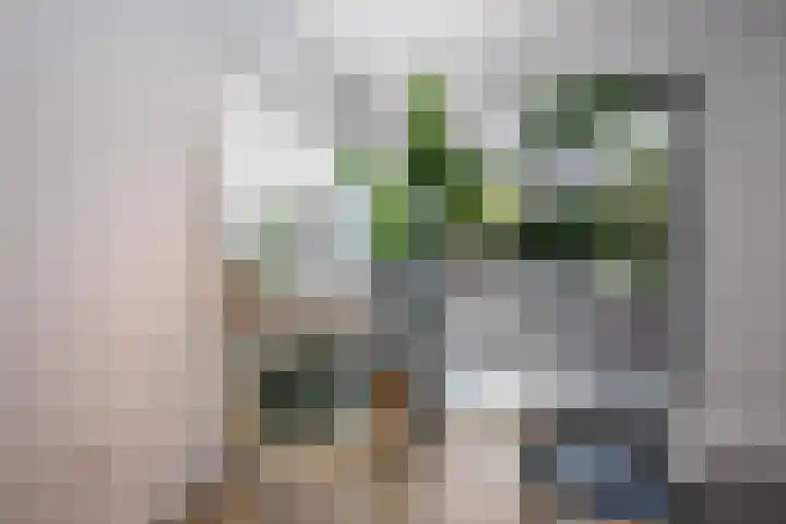 Max Heymansstraat 14 Rotterdam thumbnail 11