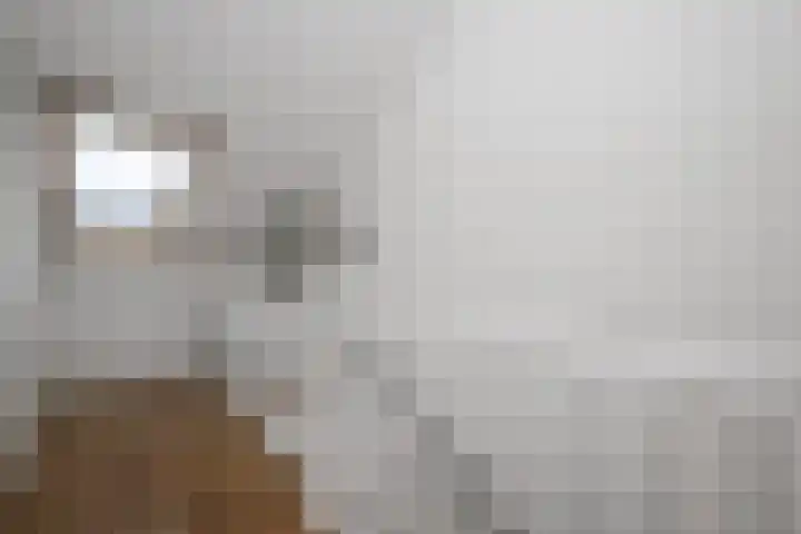 Max Heymansstraat 14 Rotterdam thumbnail 24