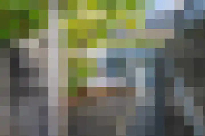 Max Heymansstraat 14 Rotterdam thumbnail 6