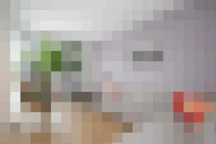 Max Heymansstraat 14 Rotterdam thumbnail 8