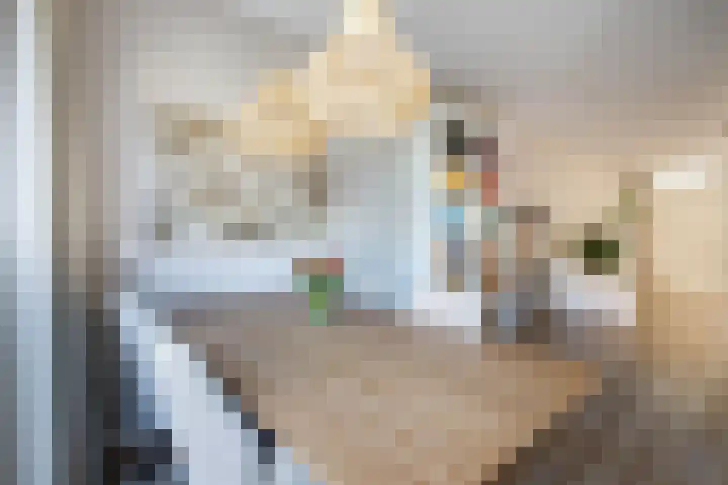 Max Heymansstraat 44 Rotterdam thumbnail 13