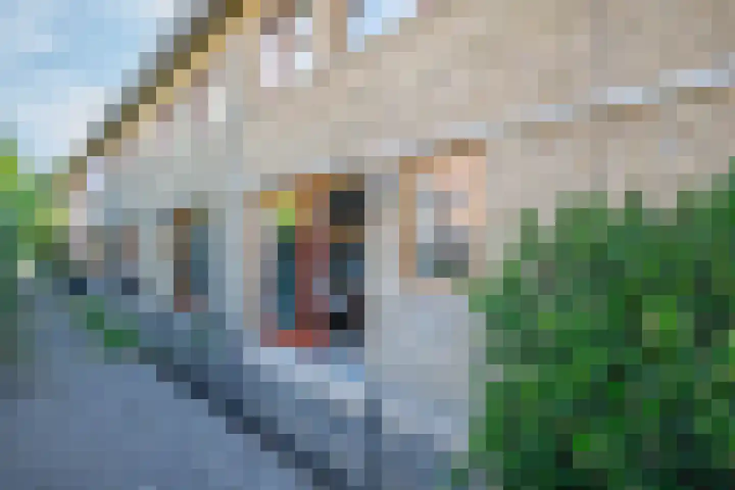 Max Heymansstraat 44 Rotterdam thumbnail 18