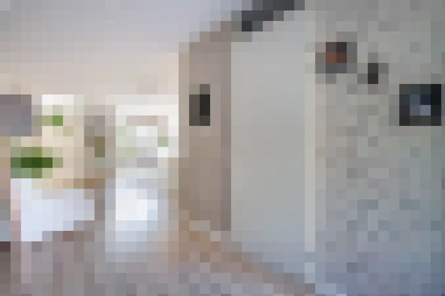 Max Heymansstraat 44 Rotterdam thumbnail 19