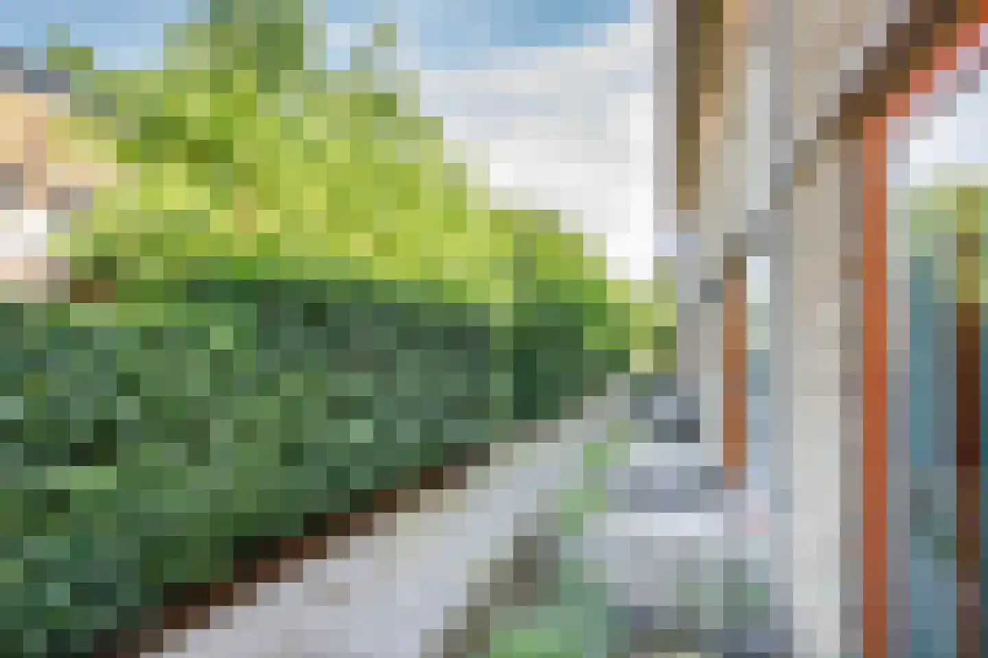 Max Heymansstraat 44 Rotterdam thumbnail 46