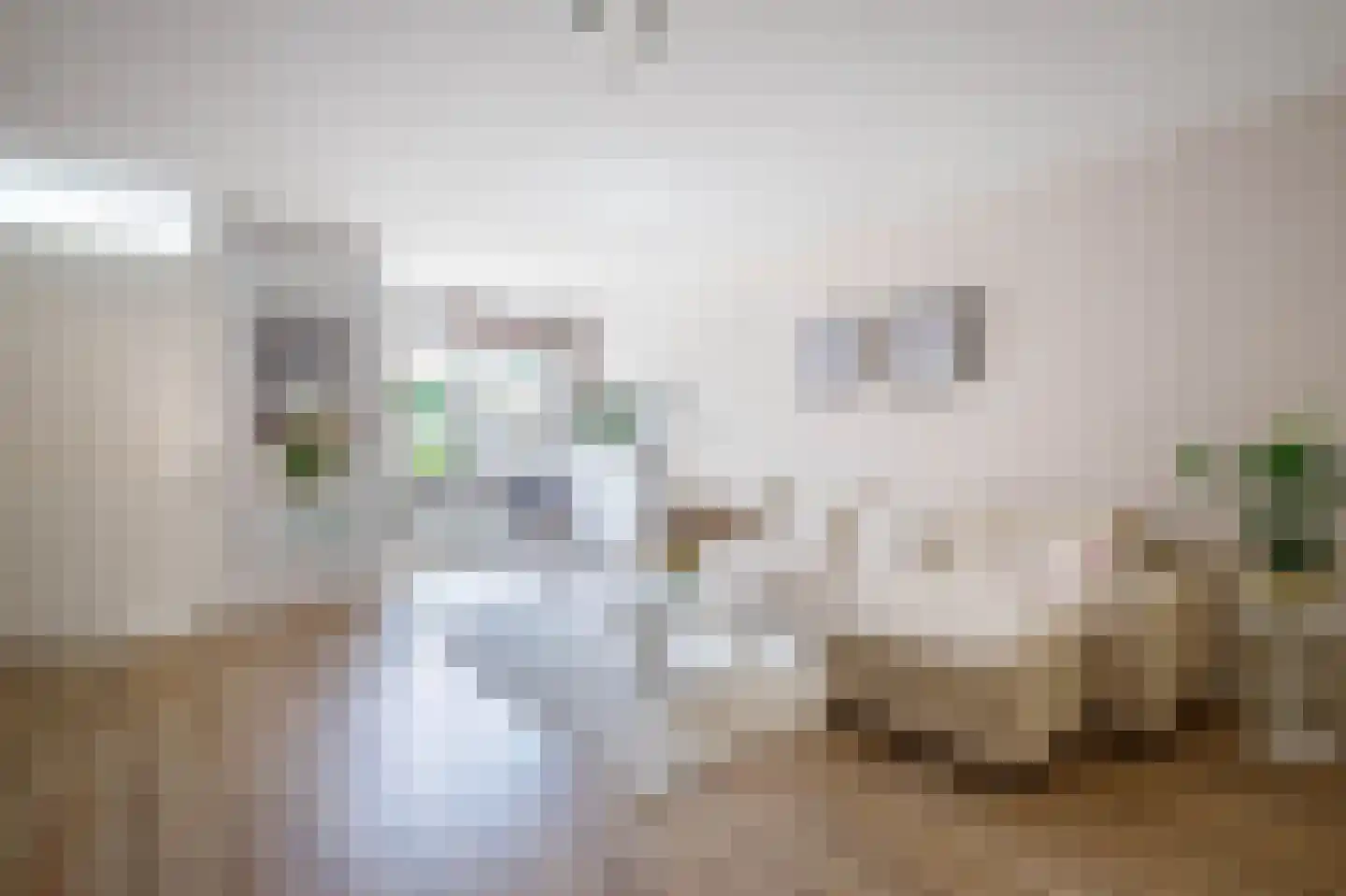 Max Heymansstraat 44 Rotterdam thumbnail 7