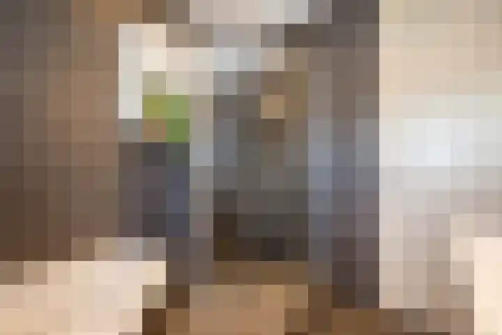 Max Heymansstraat 47 Rotterdam thumbnail 36