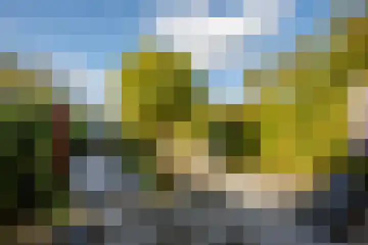 Max Heymansstraat 47 Rotterdam thumbnail 37