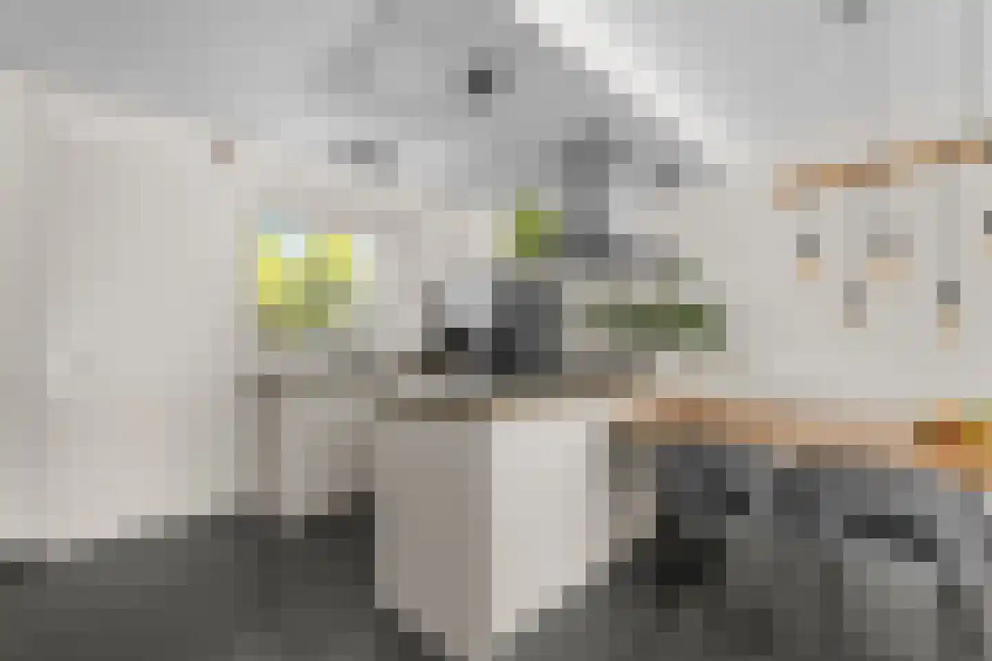 Max Planckstraat 13 Almere thumbnail 9