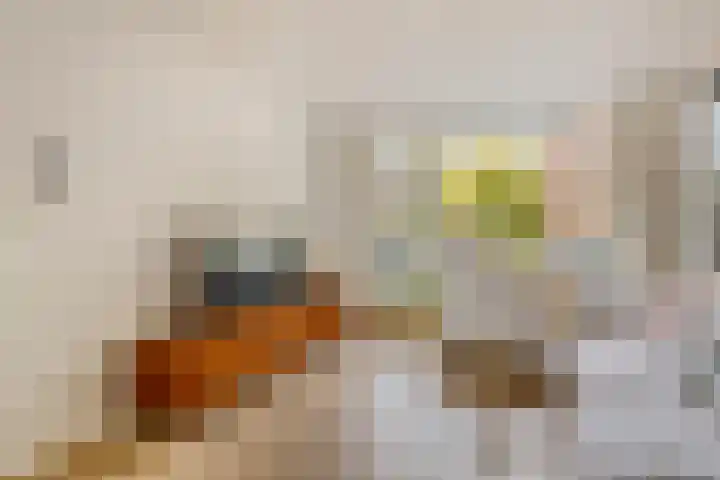 Max Planckstraat 17 1 Amsterdam thumbnail 9
