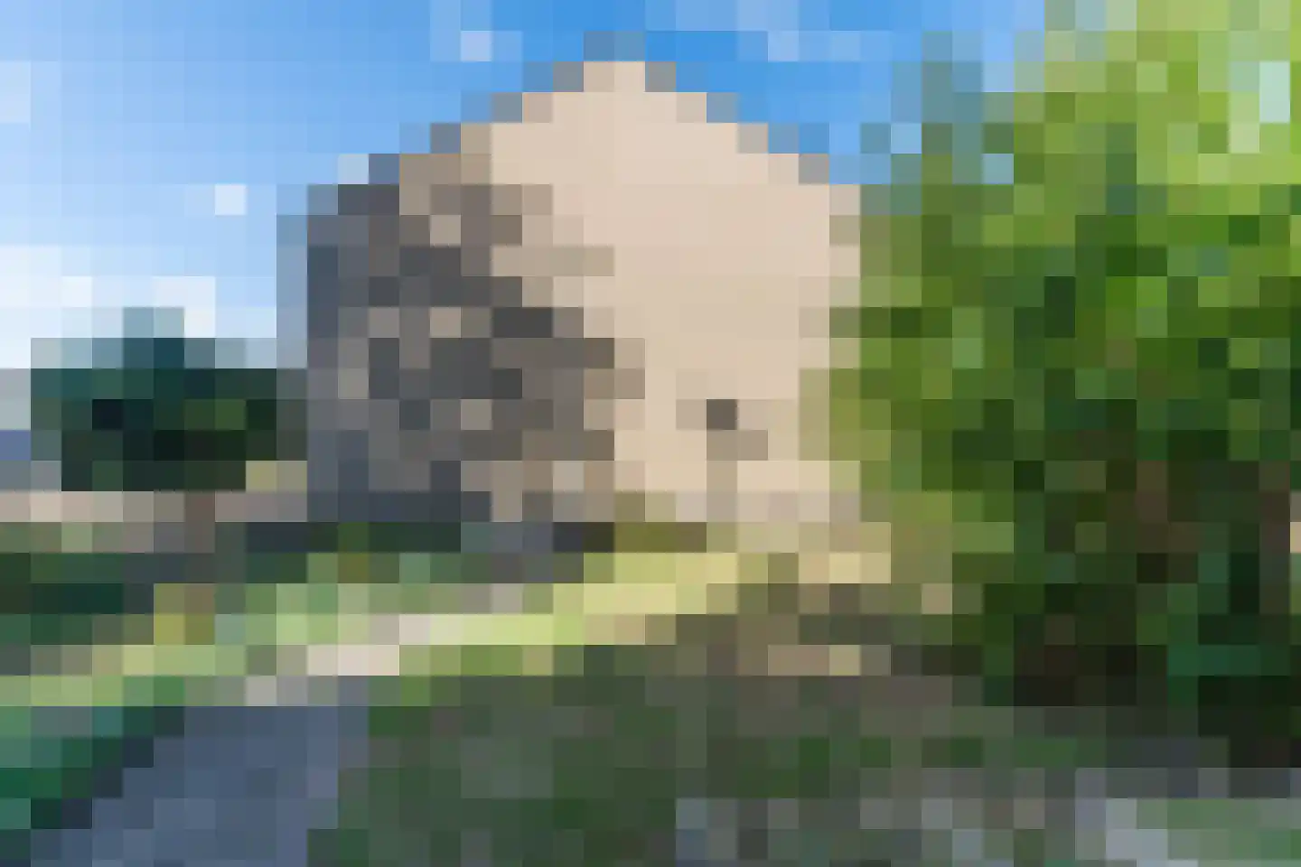 Max Regerpark 17 Waalwijk thumbnail 34