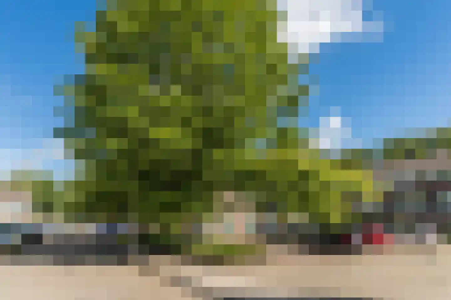 Max Regerpark 17 Waalwijk thumbnail 37