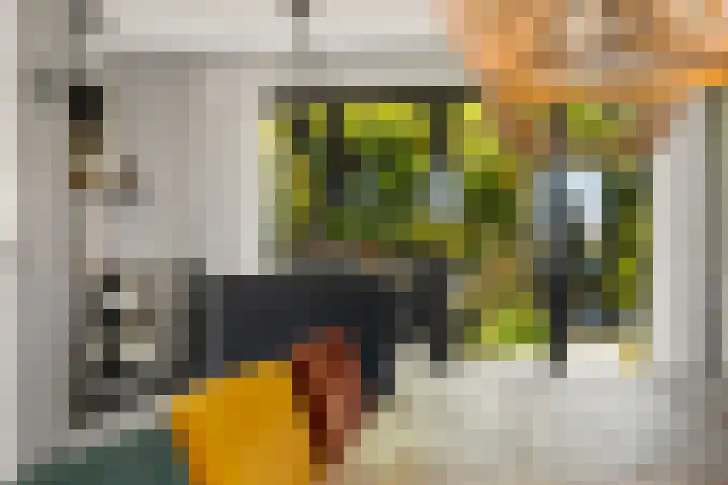 Max Tahalelepad 15 Nijmegen thumbnail 13