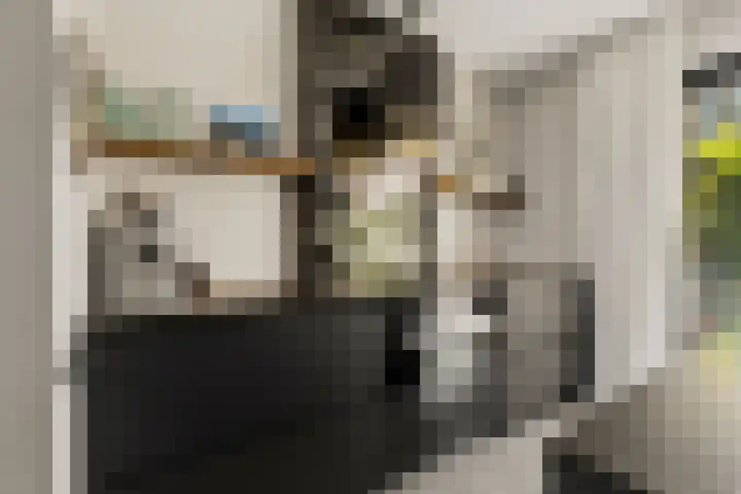 Max Tahalelepad 15 Nijmegen thumbnail 18