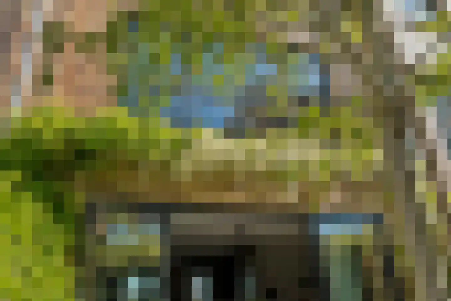 Max Tahalelepad 15 Nijmegen thumbnail 58