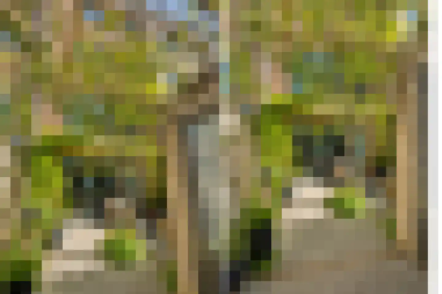 Max Tahalelepad 15 Nijmegen thumbnail 59