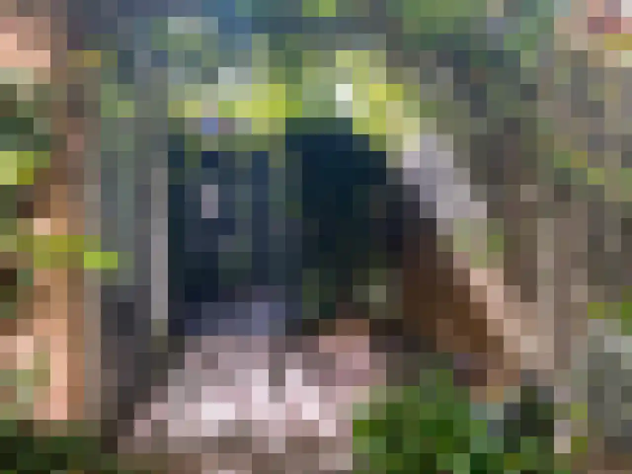 Max Tahalelepad 15 Nijmegen thumbnail 62