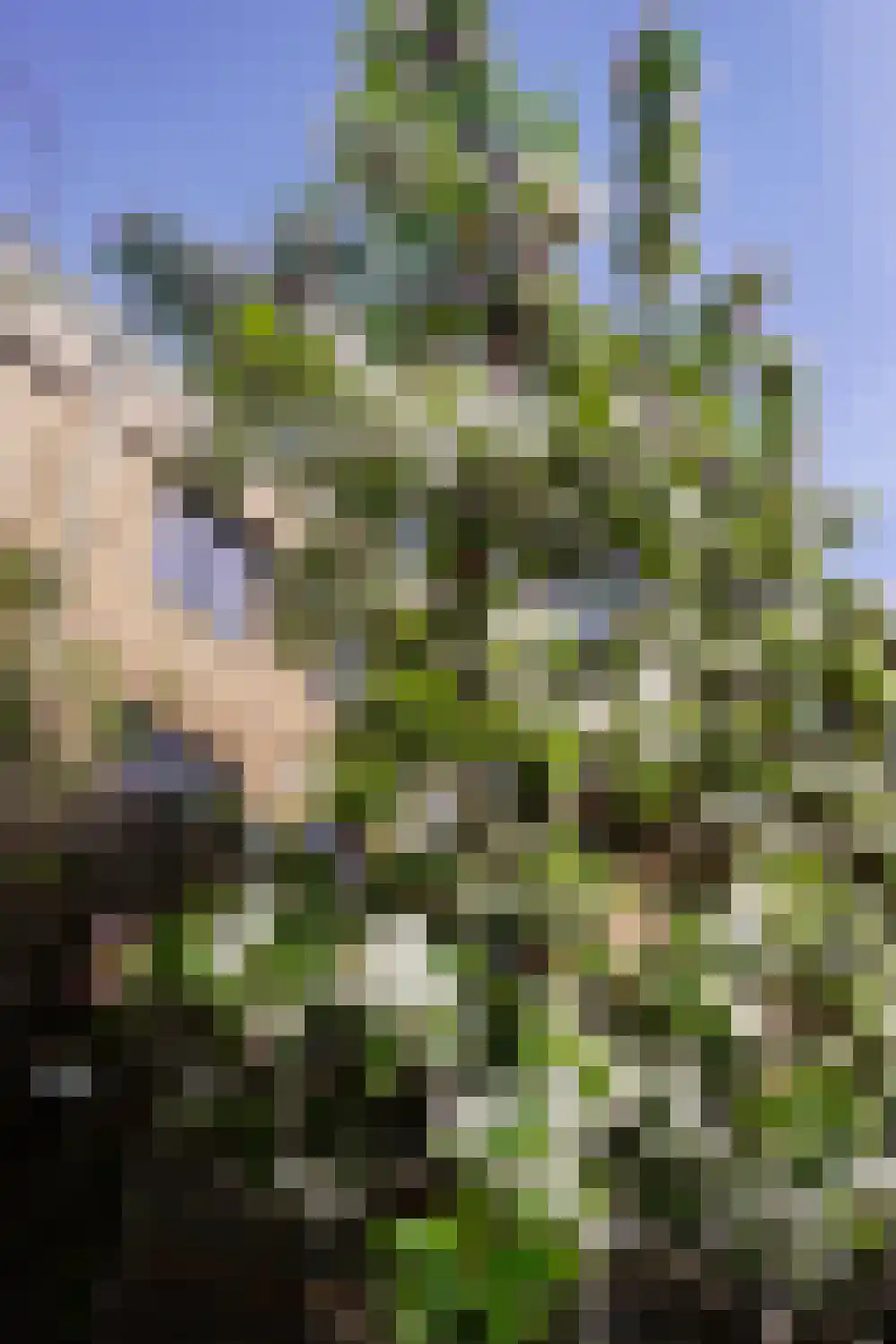 Max Tahalelepad 15 Nijmegen thumbnail 64