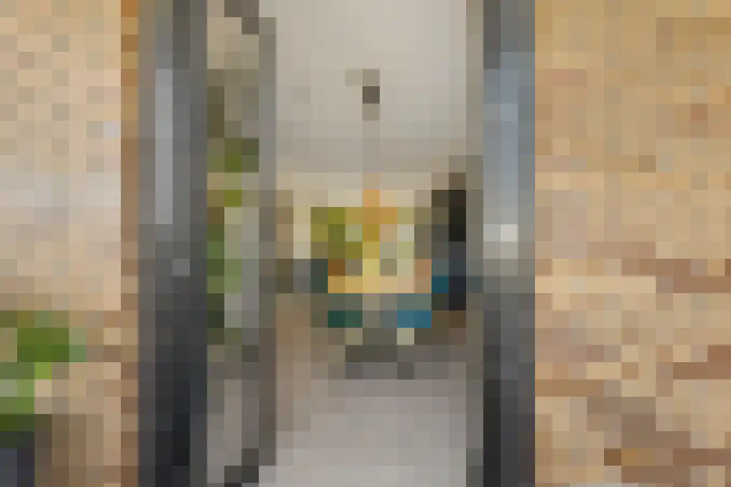 Max Tahalelepad 15 Nijmegen thumbnail 9