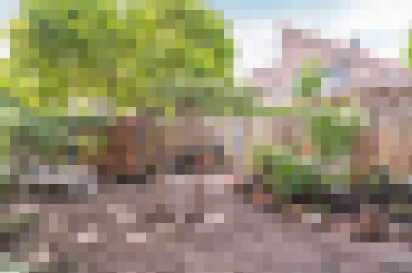 Max Takstraat 6 Almere thumbnail 33