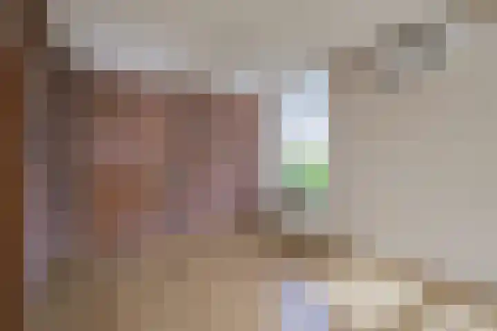 Max van Damstraat 11 Winterswijk thumbnail 10