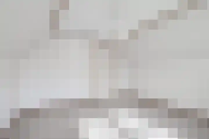 Max van Damstraat 11 Winterswijk thumbnail 22