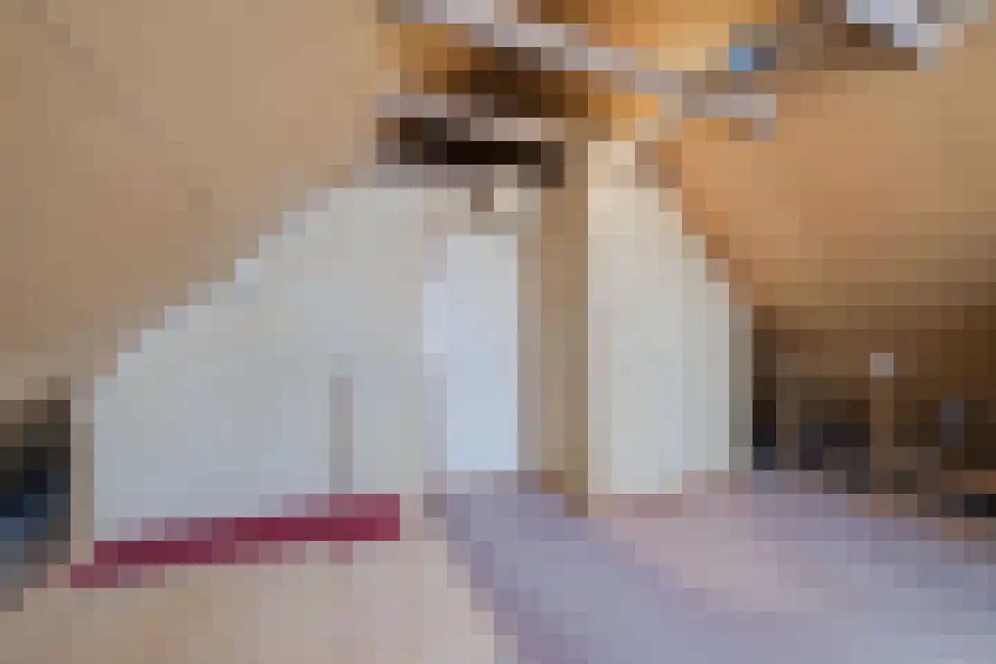 Max van Damstraat 11 Winterswijk thumbnail 24