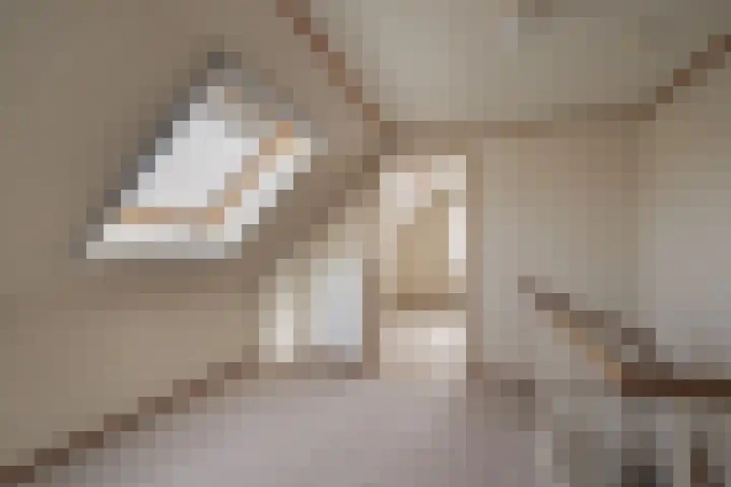 Max van Damstraat 11 Winterswijk thumbnail 26