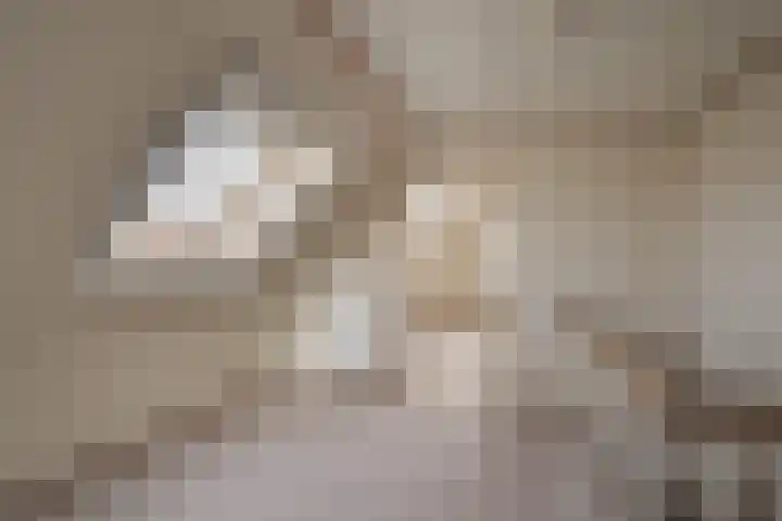 Max van Damstraat 11 Winterswijk thumbnail 26