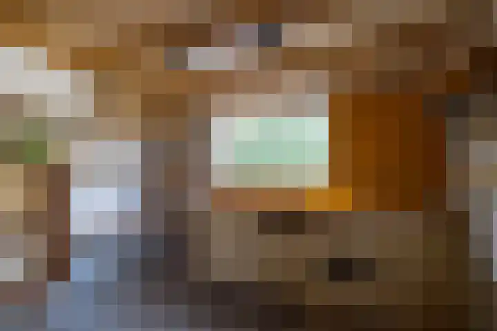 Max van Damstraat 11 Winterswijk thumbnail 30