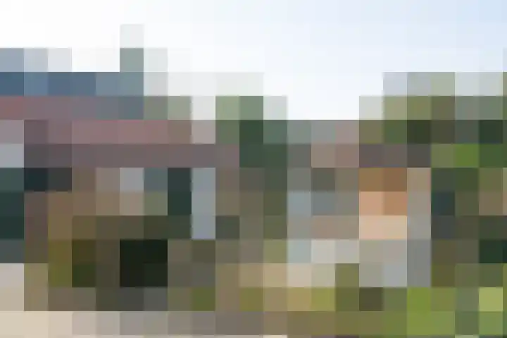 Max van Damstraat 11 Winterswijk thumbnail 35