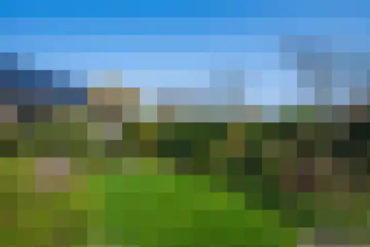 Max van Damstraat 11 Winterswijk thumbnail 38