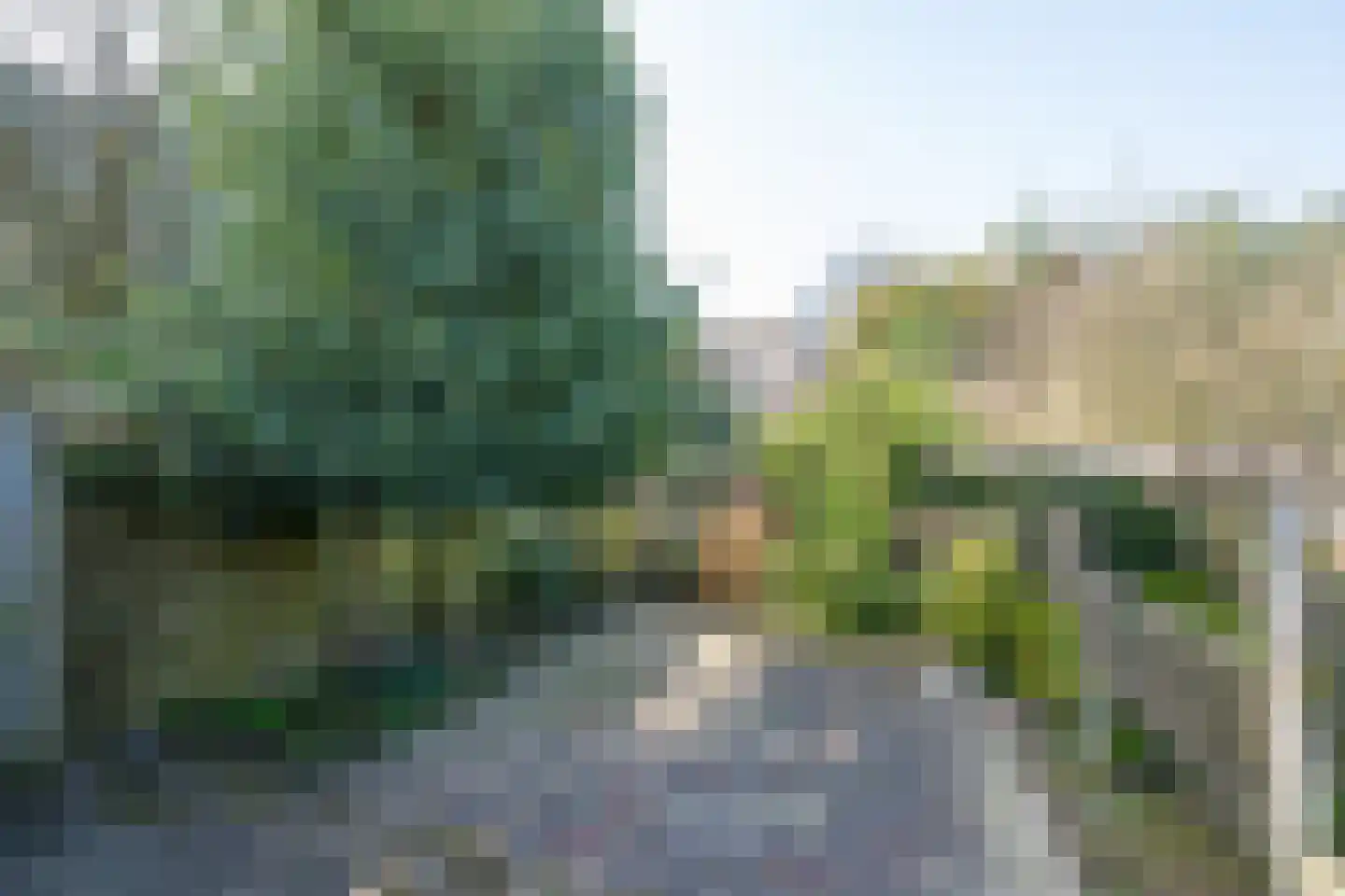 Max van Damstraat 11 Winterswijk thumbnail 42