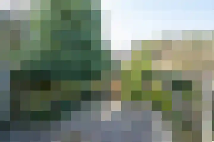 Max van Damstraat 11 Winterswijk thumbnail 42