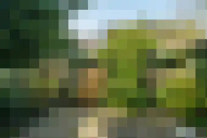 Max van Damstraat 11 Winterswijk thumbnail 44
