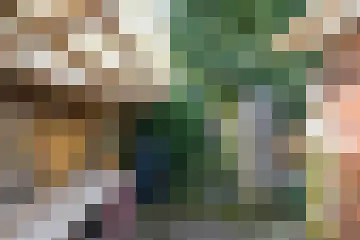 Max van Damstraat 11 Winterswijk thumbnail 47
