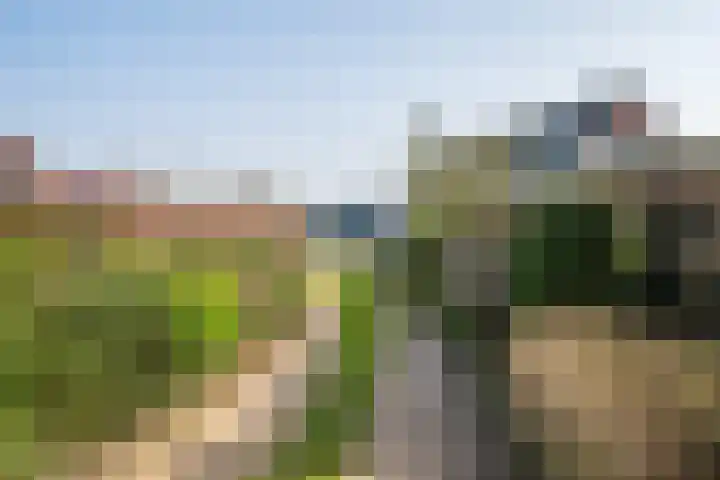 Max van Damstraat 11 Winterswijk thumbnail 51