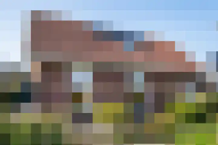 Max van Damstraat 11 Winterswijk thumbnail 57