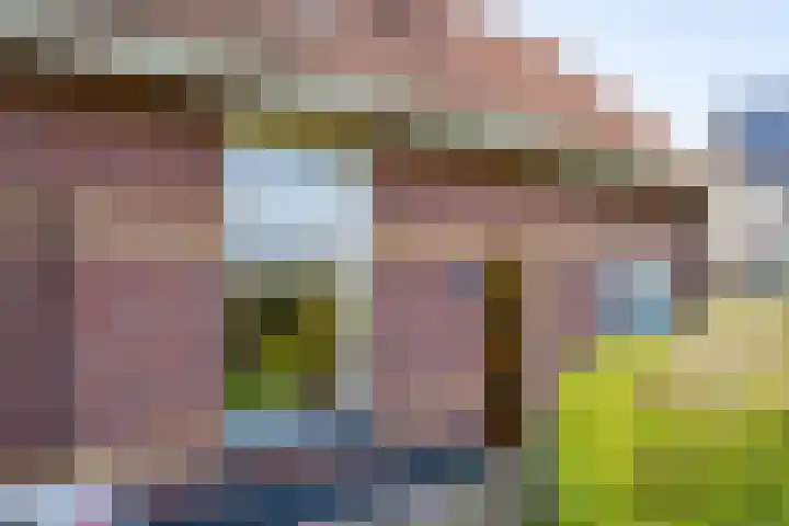 Max van Damstraat 11 Winterswijk thumbnail 59