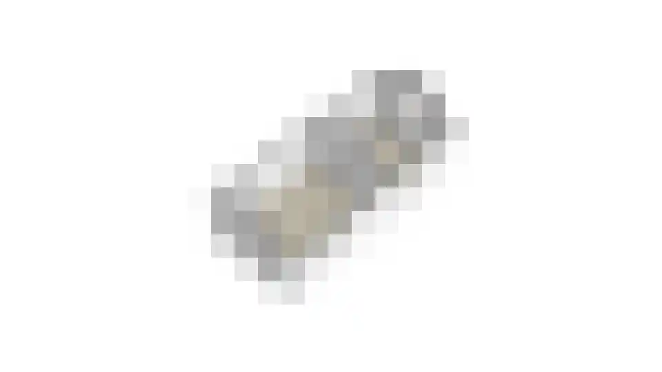 Max van Damstraat 11 Winterswijk thumbnail 66