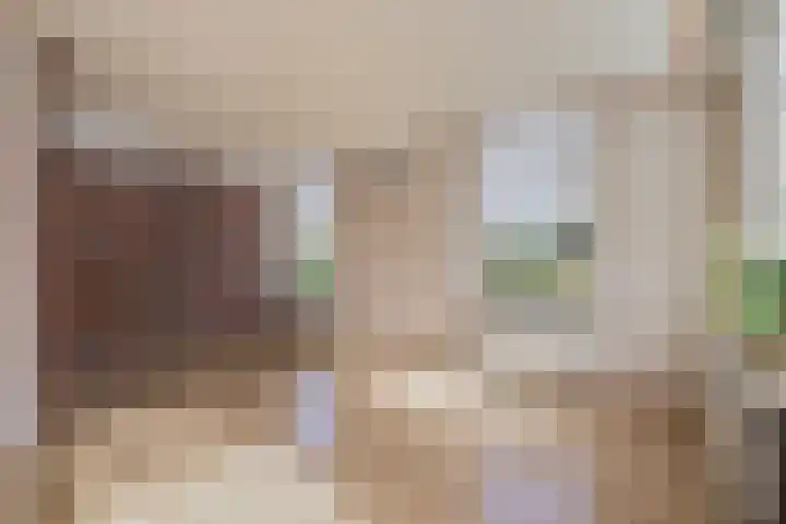 Max van Damstraat 11 Winterswijk thumbnail 8