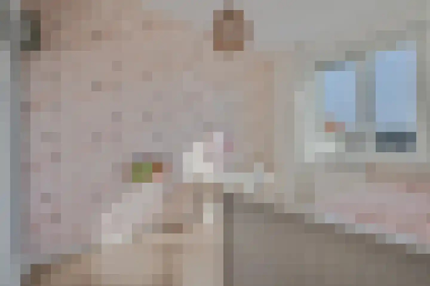 Max Velthuijshof 3 Nijmegen thumbnail 27