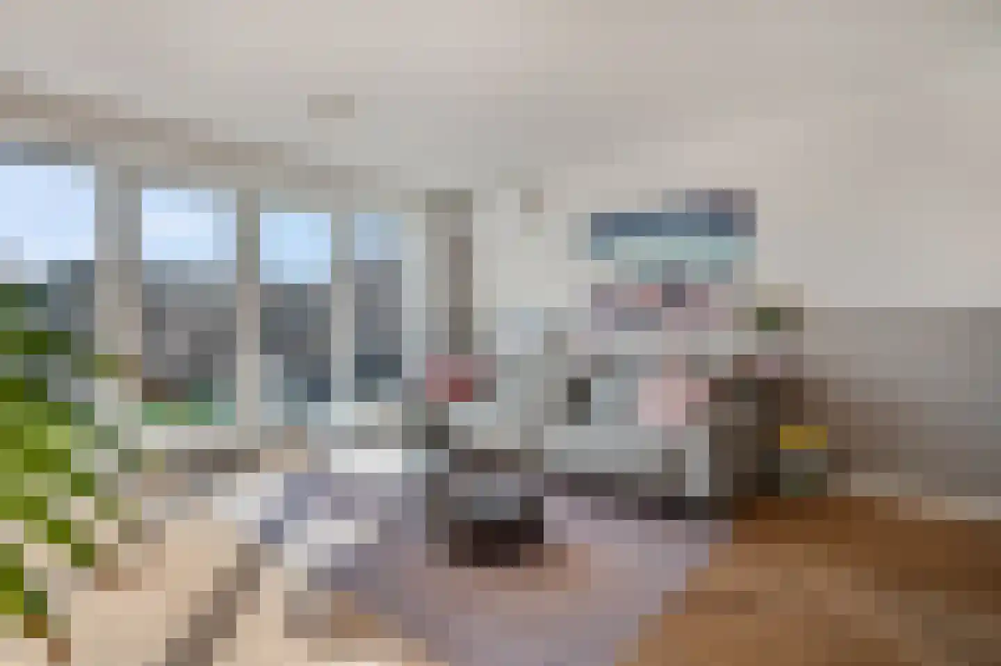 Max Velthuijshof 3 Nijmegen thumbnail 9