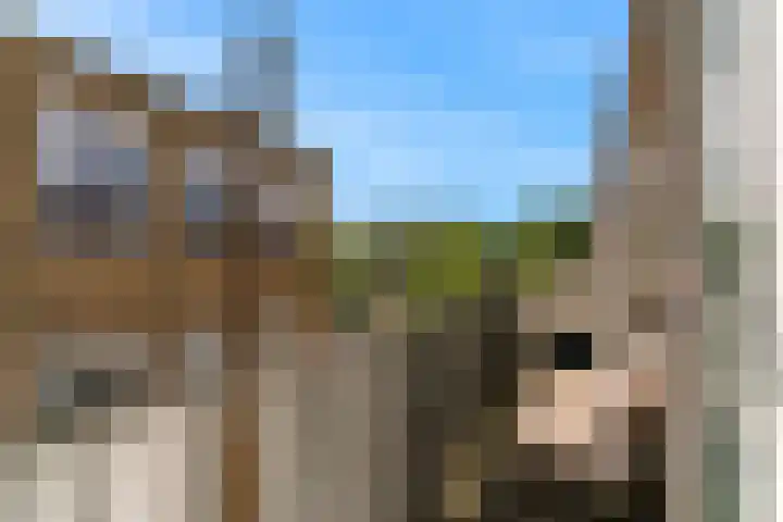 Max Velthuijskade 27 Leiden thumbnail 22