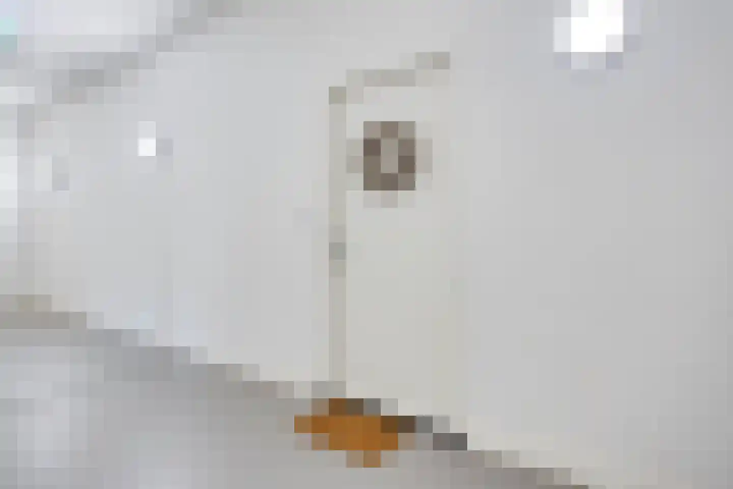 Max Velthuijskade 63 Leiden thumbnail 7