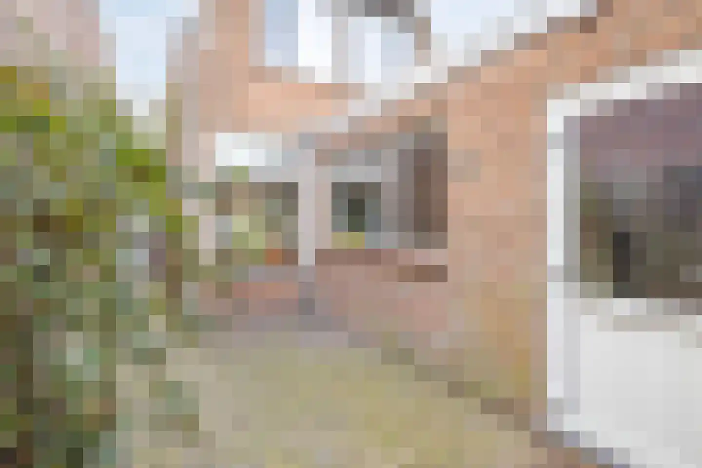 Maxburgh 17 Roosendaal thumbnail 23