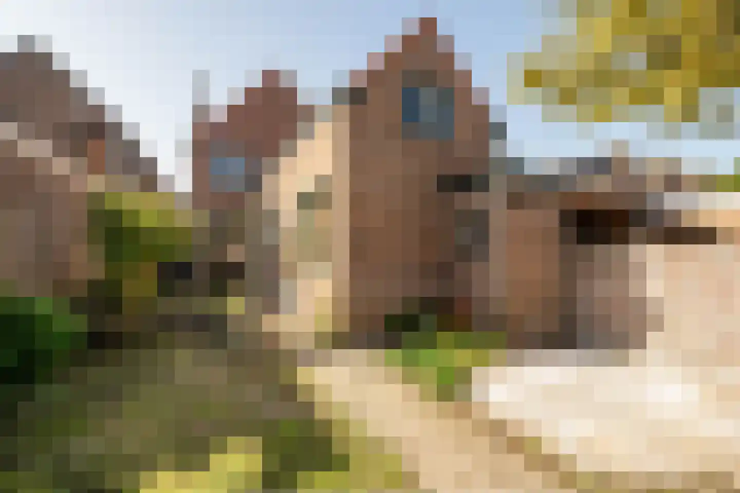 Maxburgh 19 Roosendaal thumbnail 4