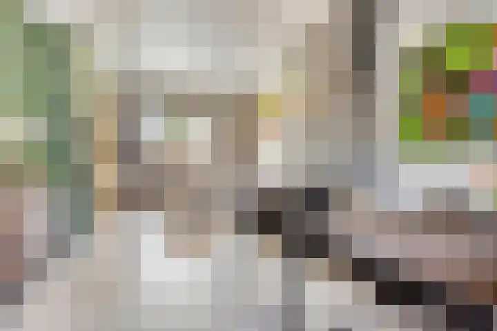 Maxburgh 5 Roosendaal thumbnail 8