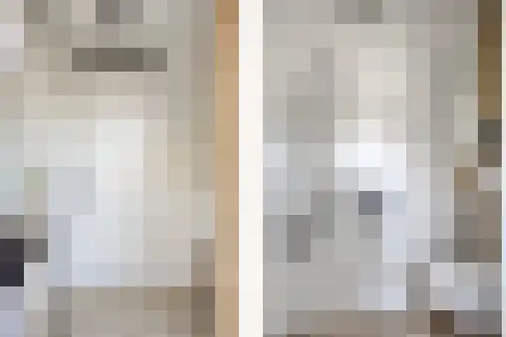 Maximahof 3 Dodewaard thumbnail 10